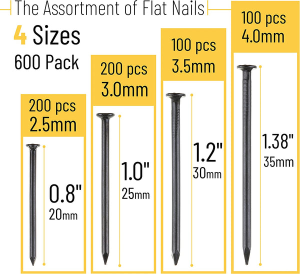 Mr. Pen- Nail Assortment Kit, 600 Pcs, 4 Sizes, Black, Small Nails, Nails for Hanging Pictures, Finishing Nails, Wall Nails for Hanging, Pin Nails, Hardware Nails, Assorted Nails, Galvanized Nails.